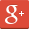 Google+ icon