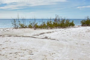 Island State Beach is a great place to relax and unwind.