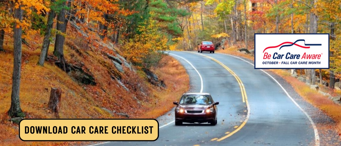 DOWNLOAD CAR CARE CHECKLIST