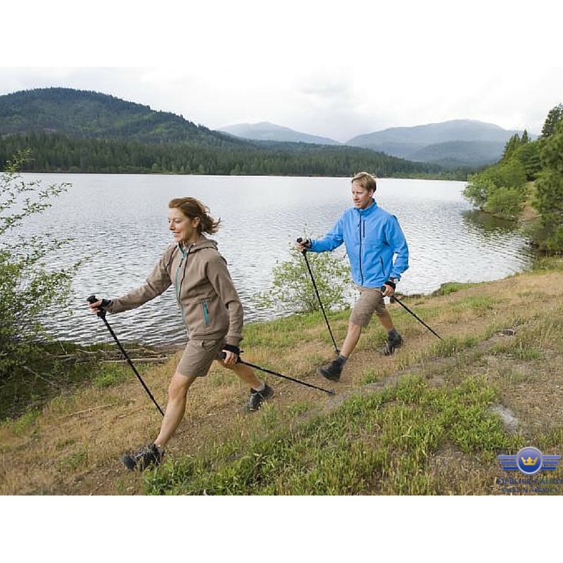 8 Reasons You Need a Walking/Hiking Stick