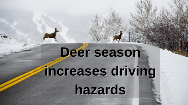 Deer season YT (1)