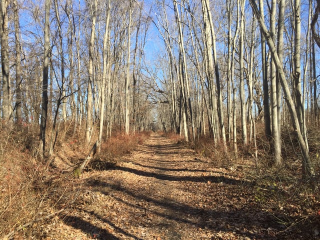 Sussex branch Trail Lafayette NJ