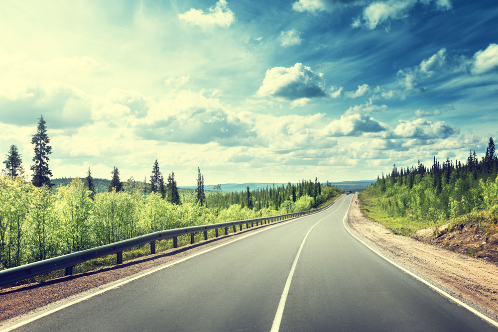 road in north forest