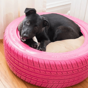 dog tire bed