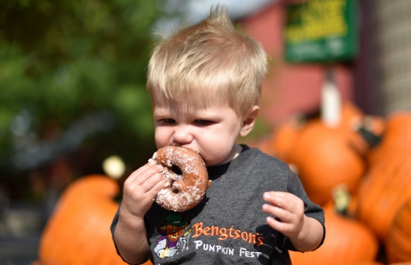 baby eating donut