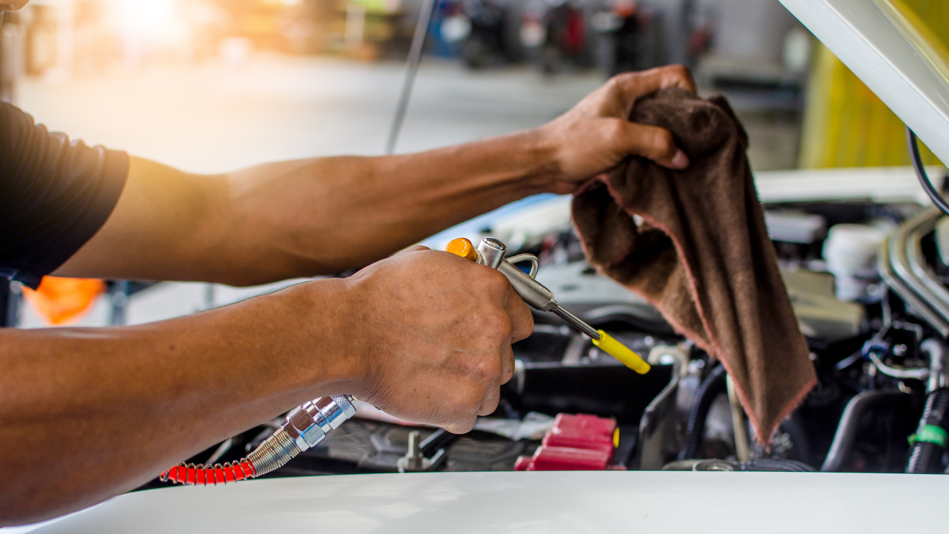 The Unwanted Passenger: Handling a Mouse Living in Your Car