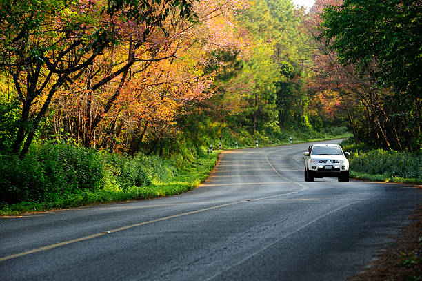 fall drive